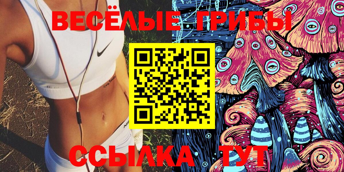 Сертолово  даркнет сайт  Вход с VPN  Псилоцибиновые грибы Psilocybe 